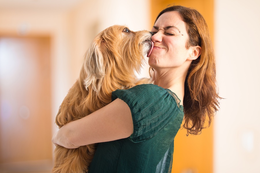 Abrazar a tu perro, mejora tu salud y bienestar